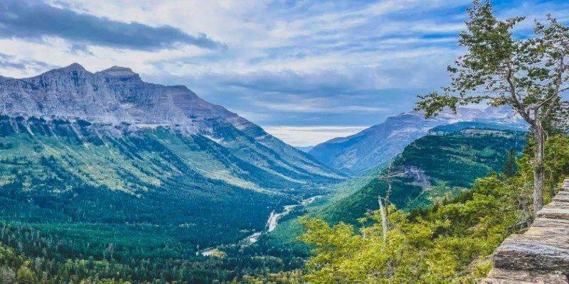 Yellowstone and Glacier Road Trip Tips for Smooth Travel